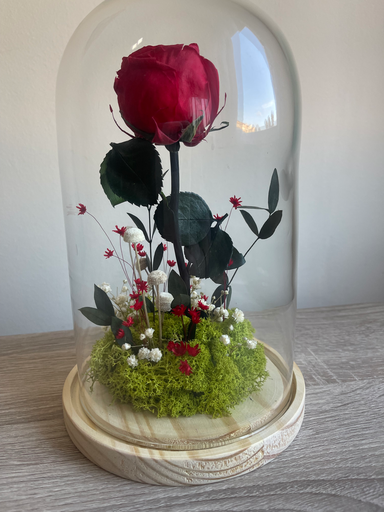 Cúpula rosa eterna